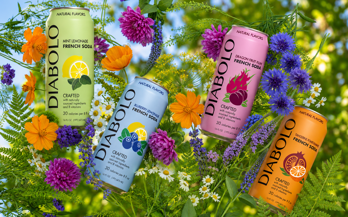 Diabolo French Soda can packaging lineup in a flower field